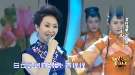 黄梅戏歌《美江南》名家周源源演唱 优美动