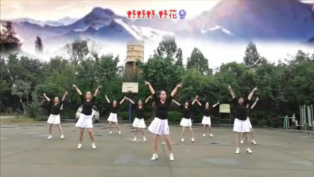 云裳广场舞《野花香》 好听好看简单易学适合初学者下载