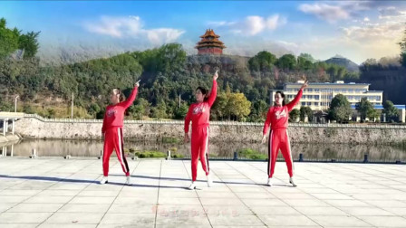 云裳广场舞《你是我的人》教学视频简单好学高清下载下载