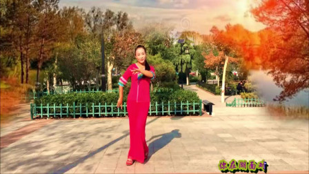 云裳广场舞《情歌美》教学视频简单好学高清下载下载