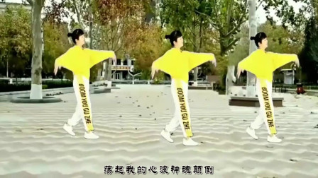 云裳广场舞《情歌对唱》原创大众健身舞  好听好看简单易学适合初学者下载
