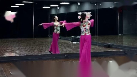 《雁南飞》反面 糖豆广场舞课堂下载