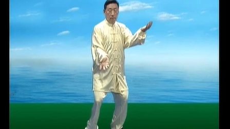 太极拳大师陈小旺 陈氏太极拳教程 高清下载下载