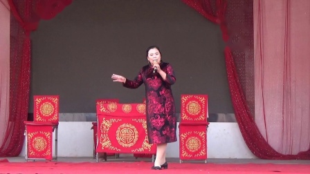 大平调《二进宫》演唱者 赵艳丽 濮阳龙乡艺术团下载