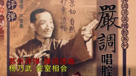 苏州评弹 弹词选曲《杨乃武密室相会》严雪