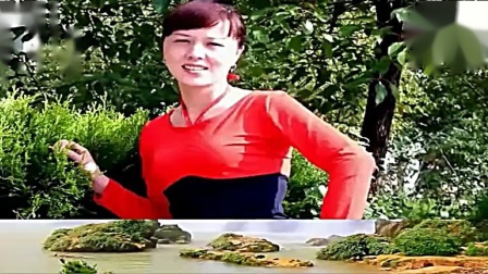 惠汝广场舞《爱上草原郎》下载