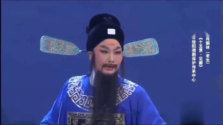 湘剧《十五贯见都》肖丽玲下载