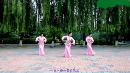 云裳广场舞《忘尘谷》原创唯美古典舞附教学下载