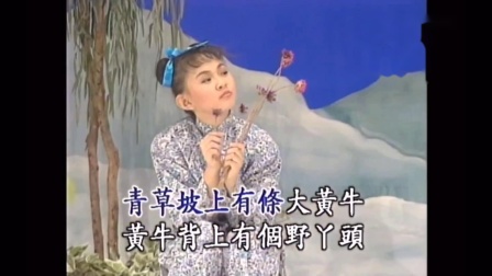 民间小调《傻瓜与野丫头》卓依婷下载
