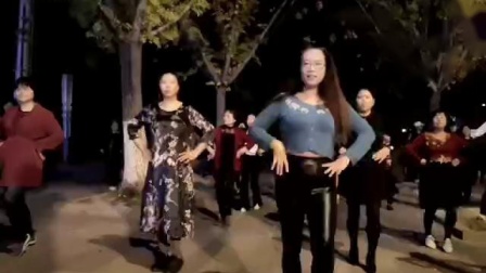 舞灵美娜子广场舞《家乡的姑娘真漂亮》夜舞
