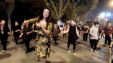 舞灵美娜子广场舞《恰恰》夜舞版 高清下载