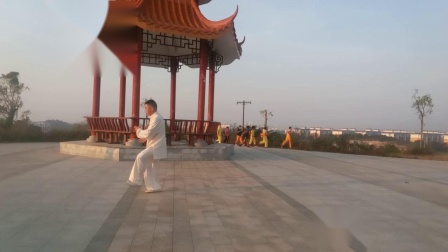 武当三丰太极拳 苏峻生下载