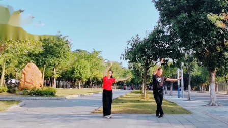 学跳云裳广场舞《不谓侠》下载