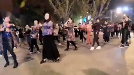 舞灵美娜子广场舞 《家乡美》夜舞版 高清下