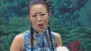 二人转正戏《 员外休妻》张小光 温美玲 九