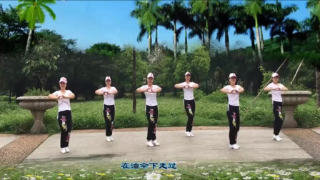 云裳广场舞《一曲相思》教学视频简单好学高清下载下载