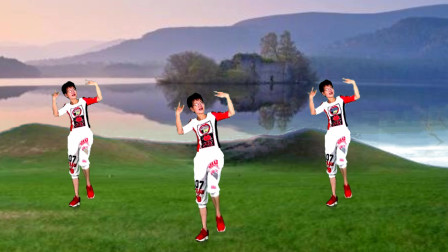 迪斯科广场舞《饿狼传说》 简单好学教学视