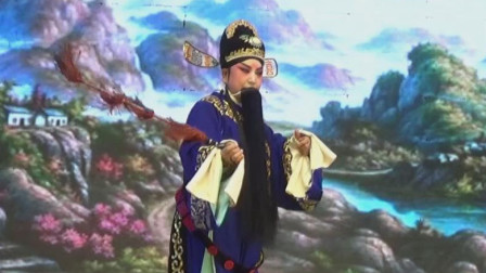 晋剧《孙安动本》上集 主演 孙红丽 高清mp4视频免费下载下载