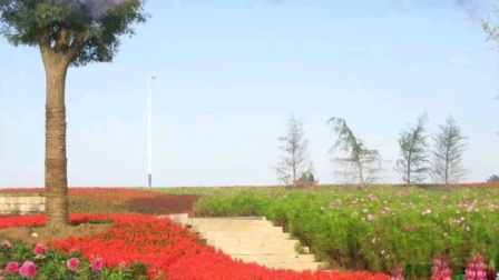 晋剧《孔雀东南飞》选段 高慧美唱段戏曲mp3