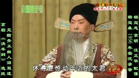 京剧《洪羊洞》选段 见骸骨不由人泪双流 杨
