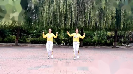 云裳广场舞《谁》正背面附教学 好听好看简单易学适合初学者下载