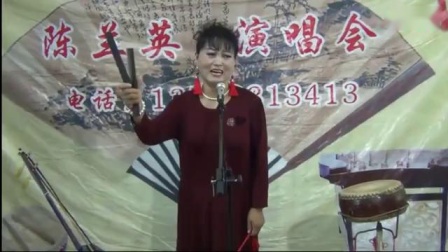 河南坠子《天劈不孝子》陈兰英演唱 戏曲mp3