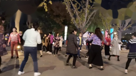 舞灵美娜子广场舞《双人恰恰对跳》高清下载