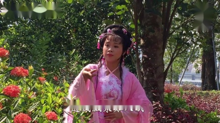 玉芙蓉歌仔戏 《新红楼奇缘 黛玉葬花》 雅婷演唱  高清mp4视频免费下载下载