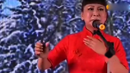 河南坠子《报母恩》选段 胡中花老师演唱  戏曲mp3免费下载下载