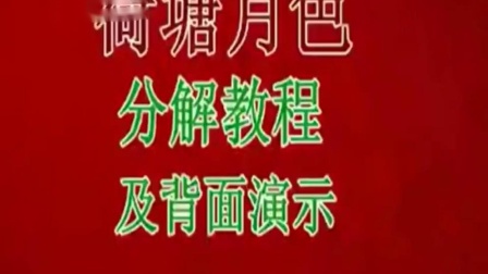 美久广场舞《荷塘月色》分解教程及背面演示下载