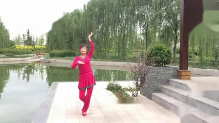 格格广场舞《老家的月亮》简单好学教学视频免费高清下载下载