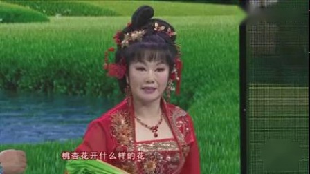 东北二人转小帽《反正对花》赵晓波 演唱 高
