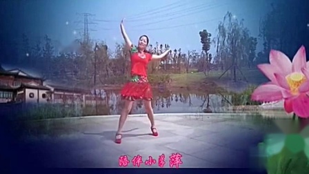 応子广场舞 《娜鲁湾情歌》简单好学教学视