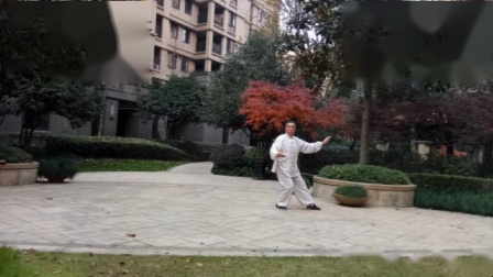 传统杨氏85式太极拳（安仁华）高清mp4视频免费