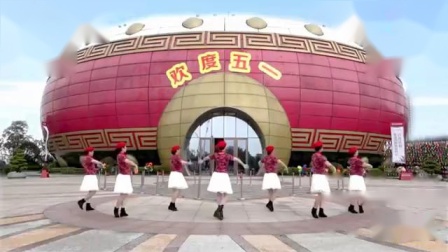 格格广场舞《夫妻双双把家还》正背面演示与分解教学下载