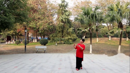 张春丽广场舞《中国脊梁》简单好学教学视频