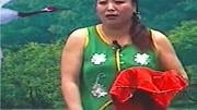 二人转《阴魂阵》侯占芳 刘香菊演唱 戏曲mp3免费下载下载