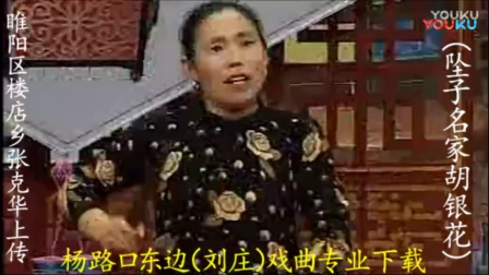 河南坠子《恶媳妇打婆婆》全集 胡银花