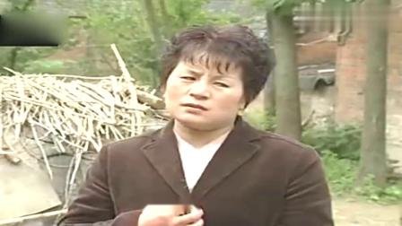 刘晓燕民间小调《三妯娌骂架》不养老人终于有报应下载