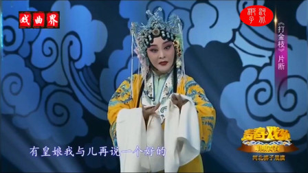 河北梆子《打金枝》皇母唱段 演唱 杨娟下载