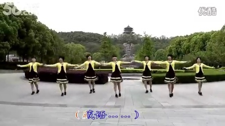 动动广场舞 《梦中的唐古拉》下载