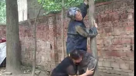 民间小调《老妈子上树》二静 伟民 奇霞 小荣下载
