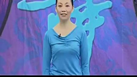 紫蝶踏歌广场舞教学 《星光》动作分解下载