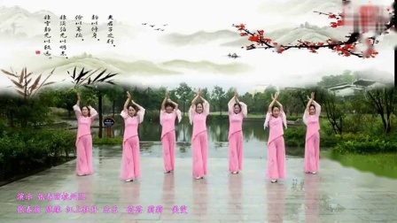 张春丽广场舞《 一枝梅》 正背表演