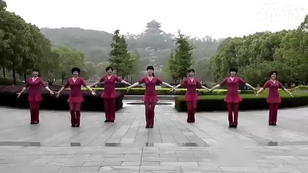 动动广场舞 《收获爱情》下载