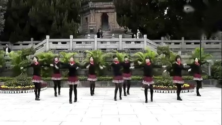 动动广场舞 《妹妹的山丹花》下载