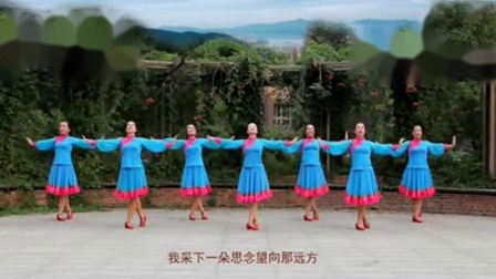 杨艺格格广场舞《梦中的额吉》背面演示下载