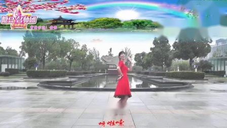 动动广场舞《格桑花开》中三 背面下载