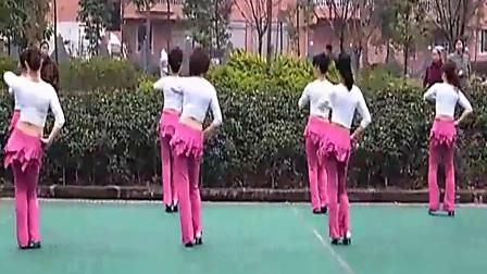 周思萍广场舞《大家一起来》背面分解  广场舞教学下载
