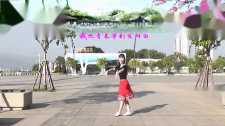 动动广场舞 《梨花飞情人泪》 32步下载